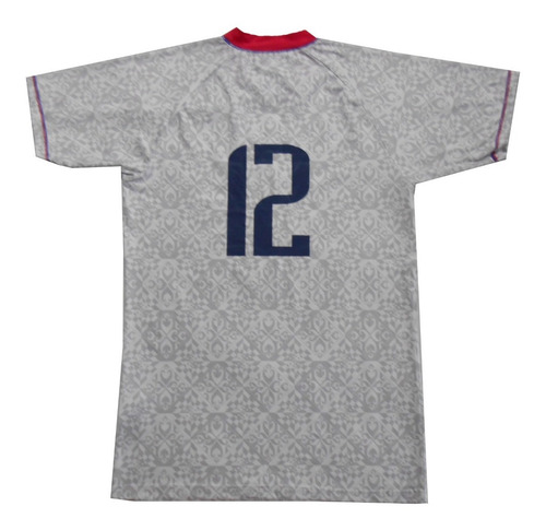 Imagen 4 de 7 de Camiseta De Voley - Seleccion De Francia - Original - 040