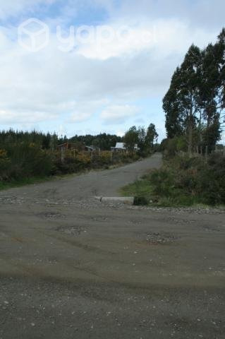 Venta De Terreno De 15 Ha. En Caulín Alto, Comuna De Ancud