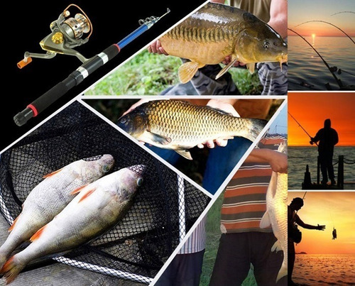 Caña De Pesca Con Carrete 2,7m, Incluye Nylon, Anzuelos