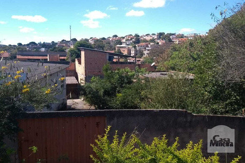 Imagem 1 de 6 de Lote À Venda No Vila Clóris - Código 276069 - 276069