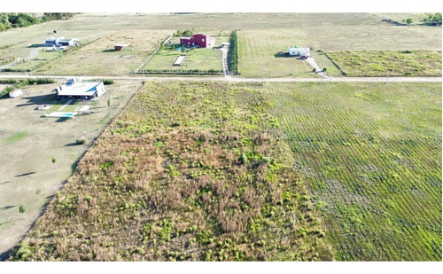 Vendo Lote De 1 Hectárea En San Justo, Entre Ríos.