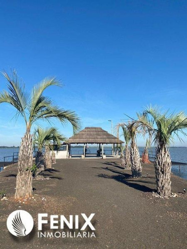 Imagen 2 de 10 de Tf526 - Z/ Puerto Mbiguá-lote En Venta Con Vista Al Río.