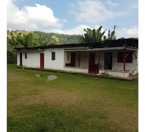Vendo Finca Por El Trebol 7,5 Has (11,5 Cuadras) Chinchina