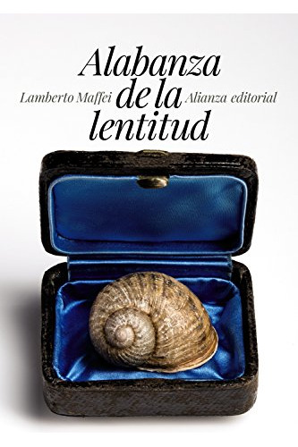 Libro Alabanza De La Lentitud De Maffei Lamberto Alianza