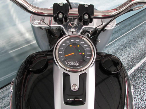 Harley Davidson Fat Boy 107 Flfb Abs