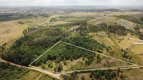 Chacra En Punta Ballena, Maldonado