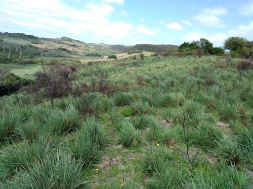 Campo En Venta