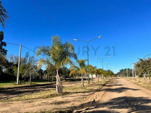 Imagen 9 de 9 de Ruta Prov Nº 1 Km 36 - Lote En Venta - Santa Rosa De Calchines