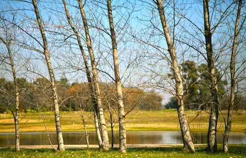 Lote En Venta Con Vista A Cancha De Golf En Medal C.c