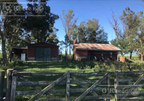 Campo En Venta 470 Has En Maipu. Unidad Ganadera Con Mejoras.