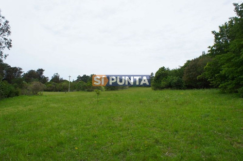 Imagen 5 de 10 de Chacra A La Venta En Laguna Del Sauce