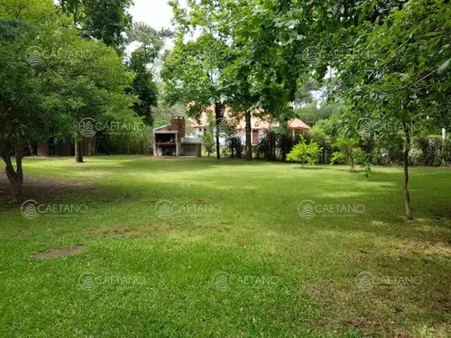Alquiler De Temporada Punta Del Este - Zona Shopping