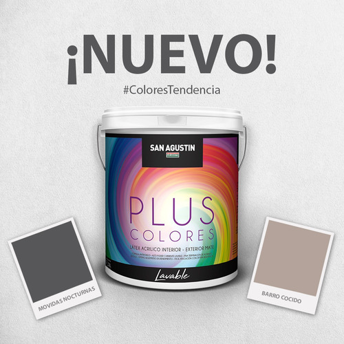 Latex Lavable San Agustin Interior Exterior Color 4 Litros