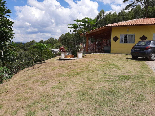 Imagem 9 de 14 de Chácara A Venda!