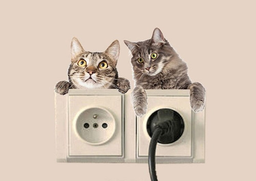 X4 Vinilos Decorativos Gatos Perros Llaves De Luz Y Enchufes