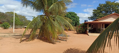 Sítio Com 2 Casas, Água, Internet E Energia - Manga-mg - Ideal Para Lazer Ou Criação