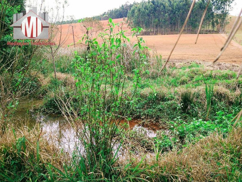 Linda Chácara Com Escritura, 02 Dormitórios, Pomar, Bem Localizada, À Venda, 3307 M² Por R$ 320.000 Em Pedra Bela/sp - Ch0740