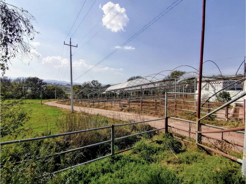 Rancho En Acatlán, Hidalgo (producción Ganadera Y De Queso).