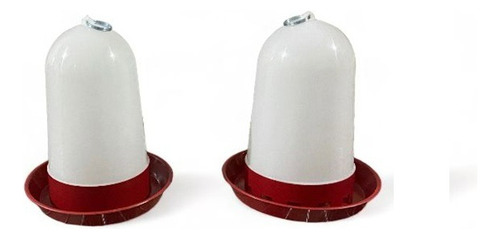 Pinteiro Com Bebedor E Comedor Automático