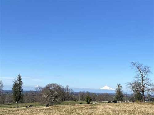 Agrícola En Venta En Osorno