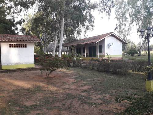 Imagen 4 de 27 de Finca En Venta En La Raya San Timoteo, Zulia