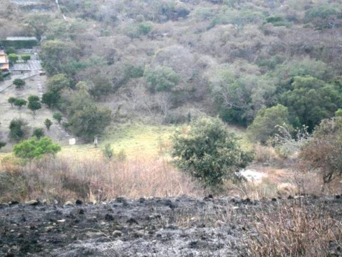 Imagen 15 de 23 de Venta Terreno Xochitepec Morelos Valle Dorado