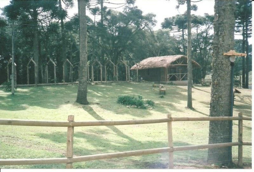 Chácara Rural À Venda, Campina, São José Dos Pinhais - Ch0001. - Ch0001