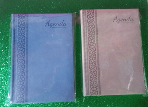 Agendas Ejecutivas Permanentes Pointer