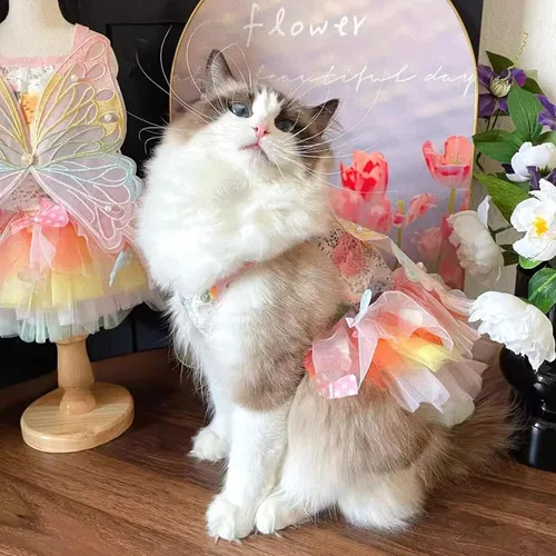 Ropa De Disfraz De Hada Bonita De Gato - Traje De Vestido Li