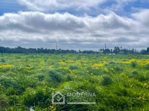 Parcela 5.593 M2 En Condominio Praderas