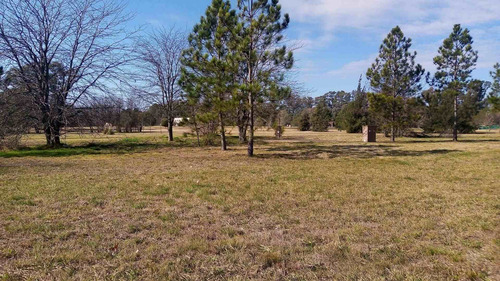 Imagen 11 de 18 de Lote En Venta En Pilar (country Con Golf)