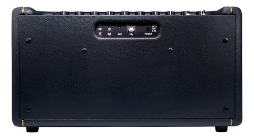 Amplificador De Guitarra Positive Grid Spark 40w Combo Con A