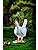 Luz Nocturna Led 3d Gallina Con Usb En Caja Regalo