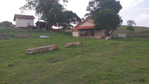 Imagem 4 de 17 de Sítio 5,6 Alqueires, 100% Tratoravel, Casa Sede, Casa De Caseiro, Poço Artesiano, 18 Cabeças De Gado, Porcos,galinhas, 2 Cavalos, Reservatorio De Agua - St00127 - 70193318