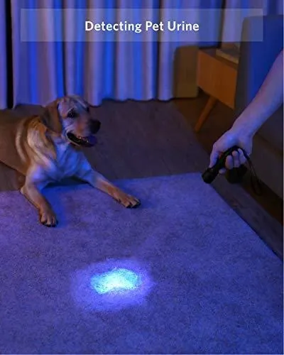 Anker Bolder - Linterna Uv Recargable, Detector Ultravioleta