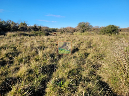 Imagen 11 de 11 de Campo 67 Hás Zona Pueblo Edén