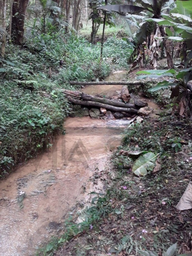 Imagem 26 de 30 de Chácara À Venda Em Juquitiba - 414 - 34854187
