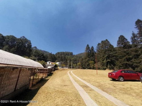 Imagen 9 de 13 de Qh4 Terreno Enorme Inmerso En La Naturaleza