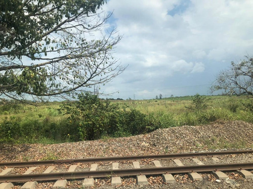 Imagen 3 de 8 de Terreno - San Juan Bautista Tuxtepec