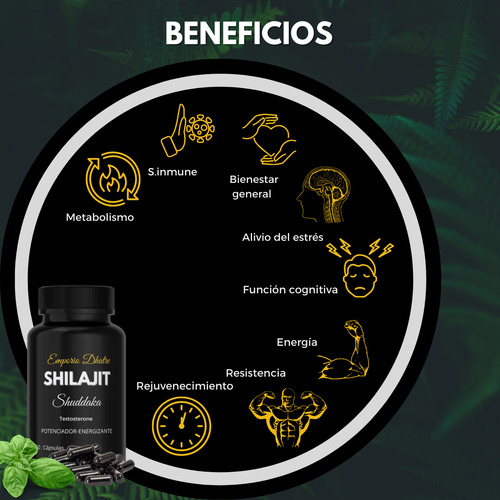 Pastillas Para La Prostatitis Y Salud Masculina Shilajit 60c