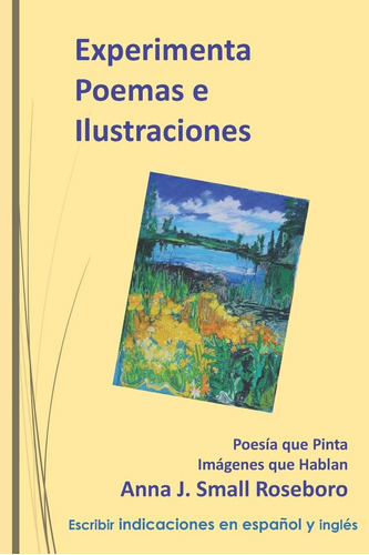Libro: Poemas E Ilustraciones De Experiencias: Poesía Que Pi