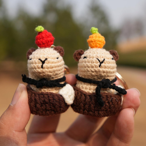 Capybara - Llavero De Punto, Regalo Capybara, Espejo De Coch
