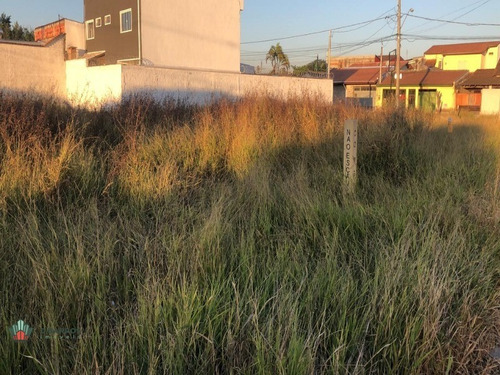 Imagem 2 de 8 de Terreno - 4919 - 69907108