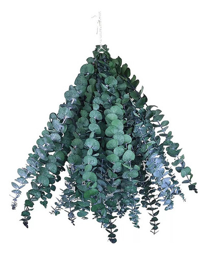 15 Folhas Secas Eucalipto Arranjo Flores Pequeñas