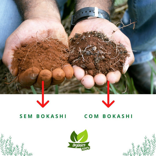 Fertilizante Adubo Líquido Bokashi 1l Concentrado Rende 200l