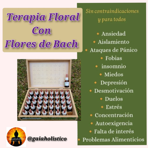 Flores De Bach Gotero X 30ml