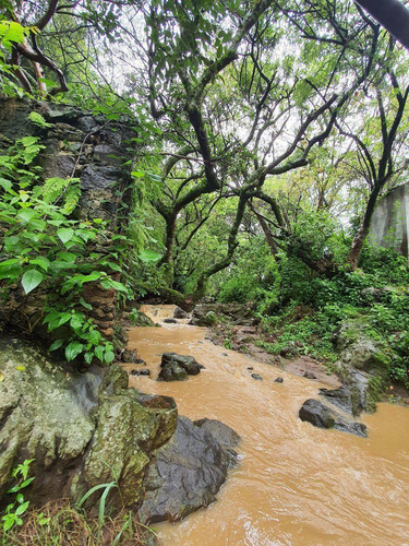 Imagen 3 de 9 de Malinalco Terreno En Venta