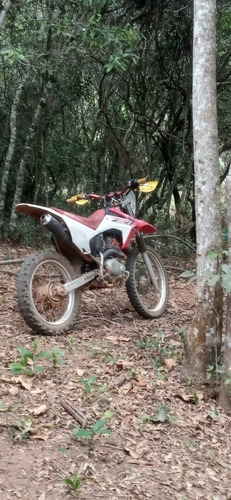 Honda 230f