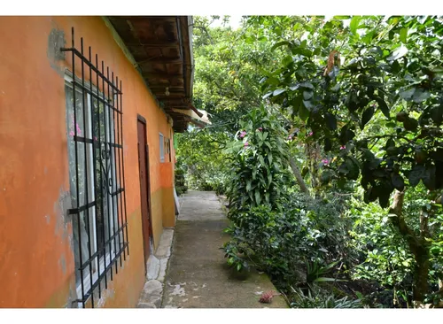 Venta Finca 77000 Mts2 Abejorral Vereda El Guaico