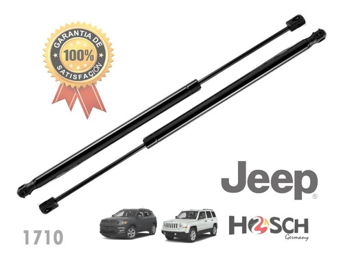 Kit 2 Amortiguadores Cajuela Jeep Patriot 07-17